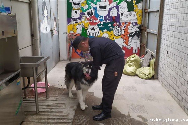 6368991361491791612679770.jpg 6368991361491791612679770.jpg