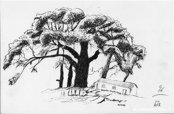 夏家豪 011_副本.jpg