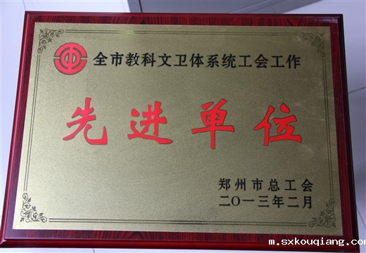 全市科教文卫体系统工会工作先进单位 市总工会（2013）