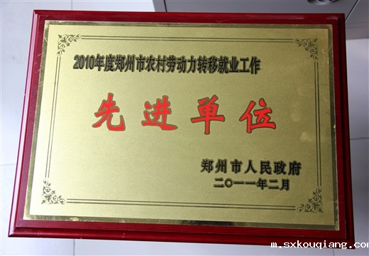 农村劳动力转移就业工作先进单位 市人民政府（2011）