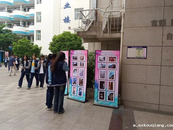 学生欣赏摄影作品.jpg 学生欣赏摄影作品.jpg